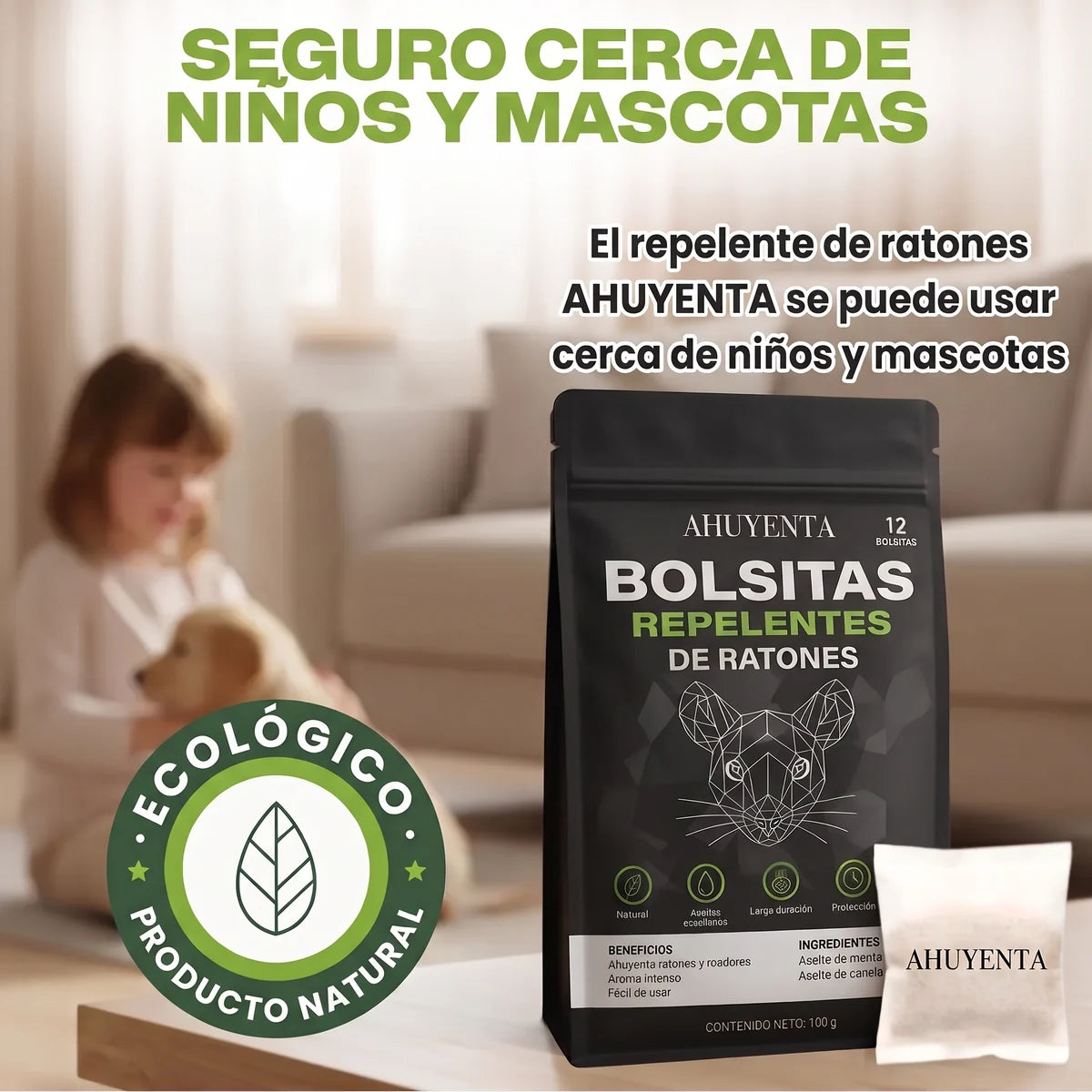 Bolsa Ahuyenta en la sala de casa